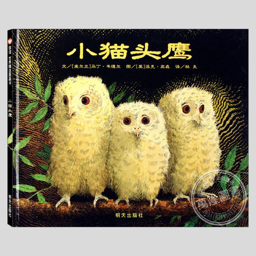 马丁韦德尔作品