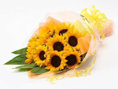 M向日葵花束奥克兰送花新西兰 日本鲜花快递台湾澳门送花法国希腊