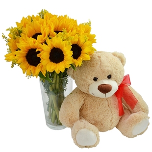 巴西 送花向日葵瓶插花小熊生日礼物送男朋友威尼斯送花希腊波兰