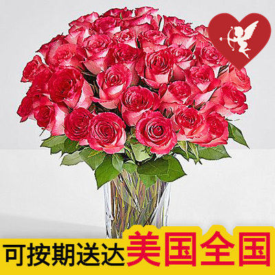 美国速递玫瑰洛杉矶送花女生节