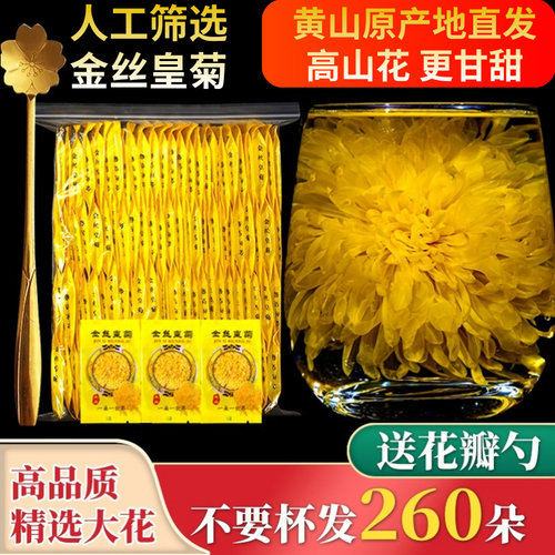头采金丝皇菊黄山大菊花独立包装