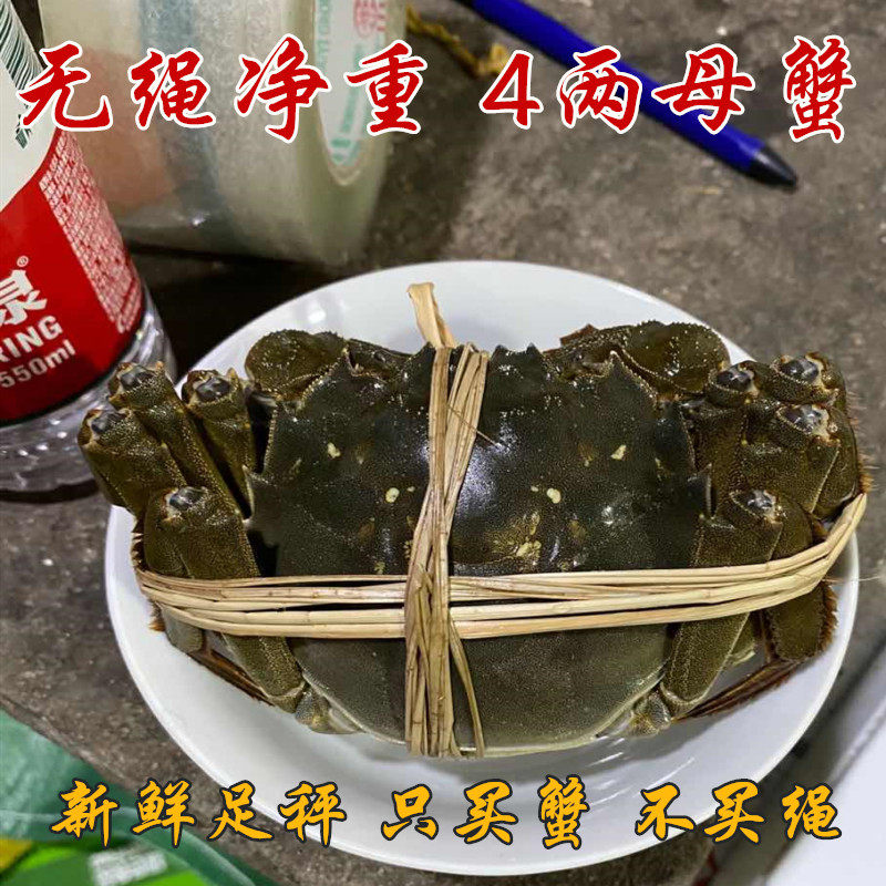 螃蟹鲜活大闸蟹净重可全母太湖大闸蟹大公蟹5两母蟹4两8只礼盒