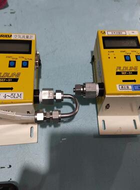FLOLINE SEF-51气体流量计 流量10SL(议价）