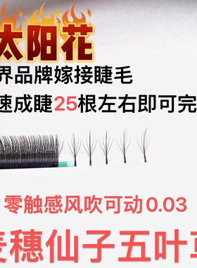 浓密黑款5D太阳花睫毛0.03超软麦穗五叶草专业美睫店美睫师专用