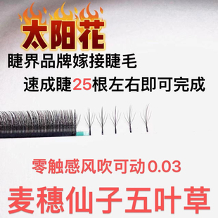 浓密黑款5D太阳花睫毛0.03超软麦穗五叶草专业美睫店美睫师专用