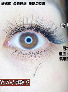 中式国风嫁接睫毛5D太阳花漫画睫毛麦穗型仙子五叶草蓬松柔软舒适