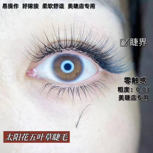 自然黑款5D太阳花睫毛麦穗型仙子五叶草超软舒适睫毛专业美睫师用