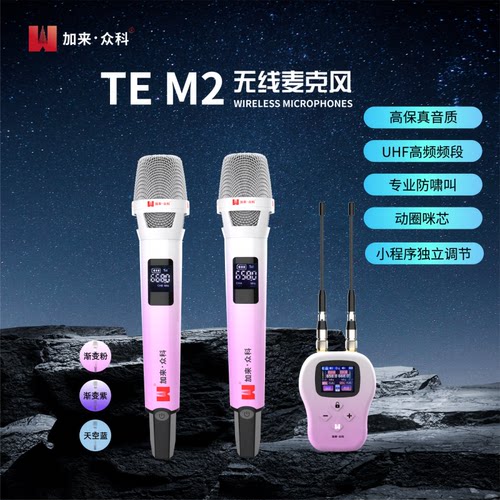 加来众科TEM2无线话筒一拖二真分集手持麦克风防啸叫户外直播唱歌