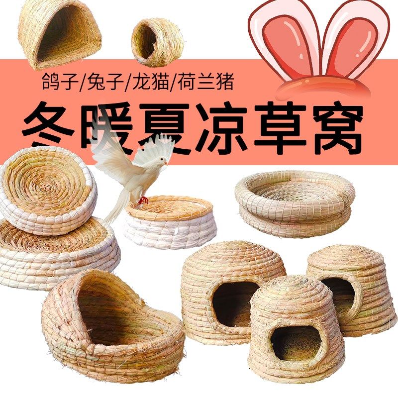 宠物猫窝荷兰猪松鼠鸽子鸟窝兔窝龙猫鹦鹉牡丹孵化鸽子窝天然草垫,宠物/宠物食品及用品,鸟禽其他,淘宝优惠券,粉丝福利购,淘宝优惠卷