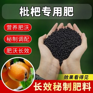 枇杷树专用肥料果树有机肥枇杷树肥料树苗琵琶肥水溶肥颗粒复合肥