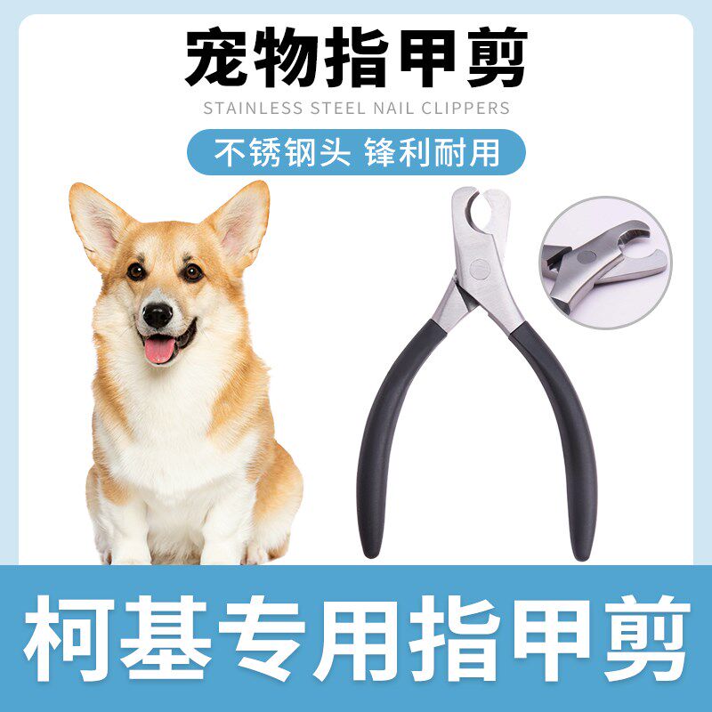 柯基专用狗狗指甲剪一体式指甲刀指甲钳宠物用品剪指甲新手专用