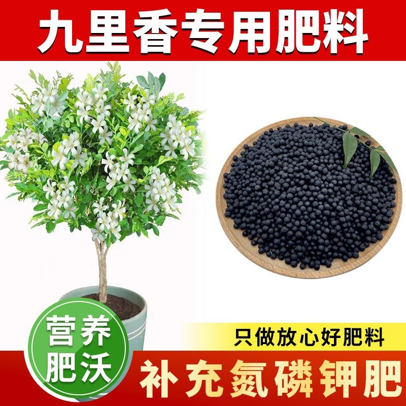 九里香专用肥料室内盆栽九里香花肥料促开花有机复合肥颗粒缓释肥,鲜花速递/花卉仿真/绿植园艺,家庭园艺肥料,淘宝优惠券,粉丝福利购,淘宝优惠卷