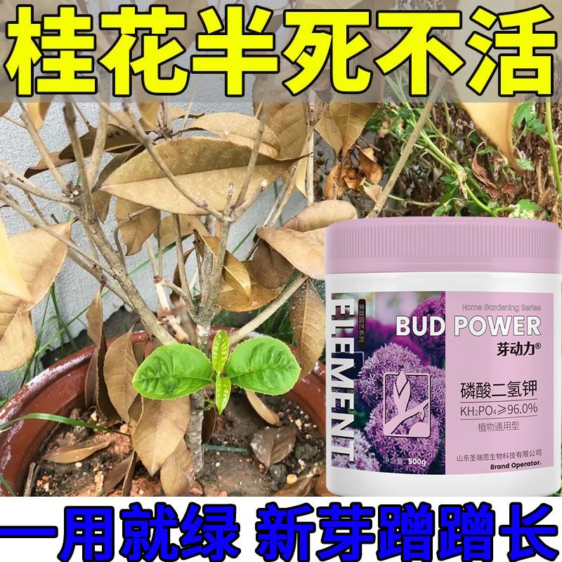 桂花专用肥花期短桂花树营养液家用盆栽养花种花通用有机颗粒肥料