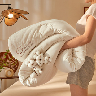 新款 被棉被加厚冬被新疆棉花被纯色简约 棉花被子被芯刺绣春秋四季