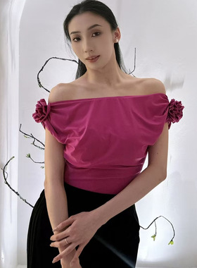 Sweet Dance一字肩上衣练功练习训练摩登舞服胸垫连体紫玫色绿色