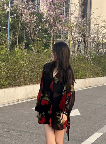 crystal舞服拉丁练习练功服玫瑰花氛围感衬衫长袖
