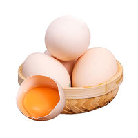 【蜜蜂零食节】晋龙六无蛋30枚新鲜鸡蛋红心蛋