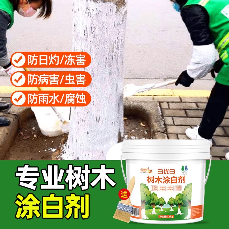 【挂白持久】树木涂白剂防虫防冻树干大树果树刷白剂防虫抗病防寒