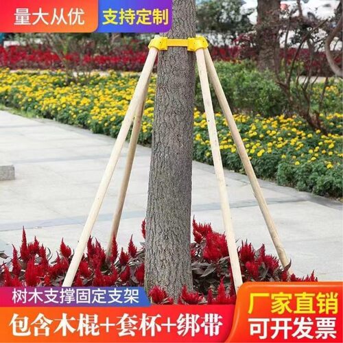 松木苗木支撑杆防风绿化
