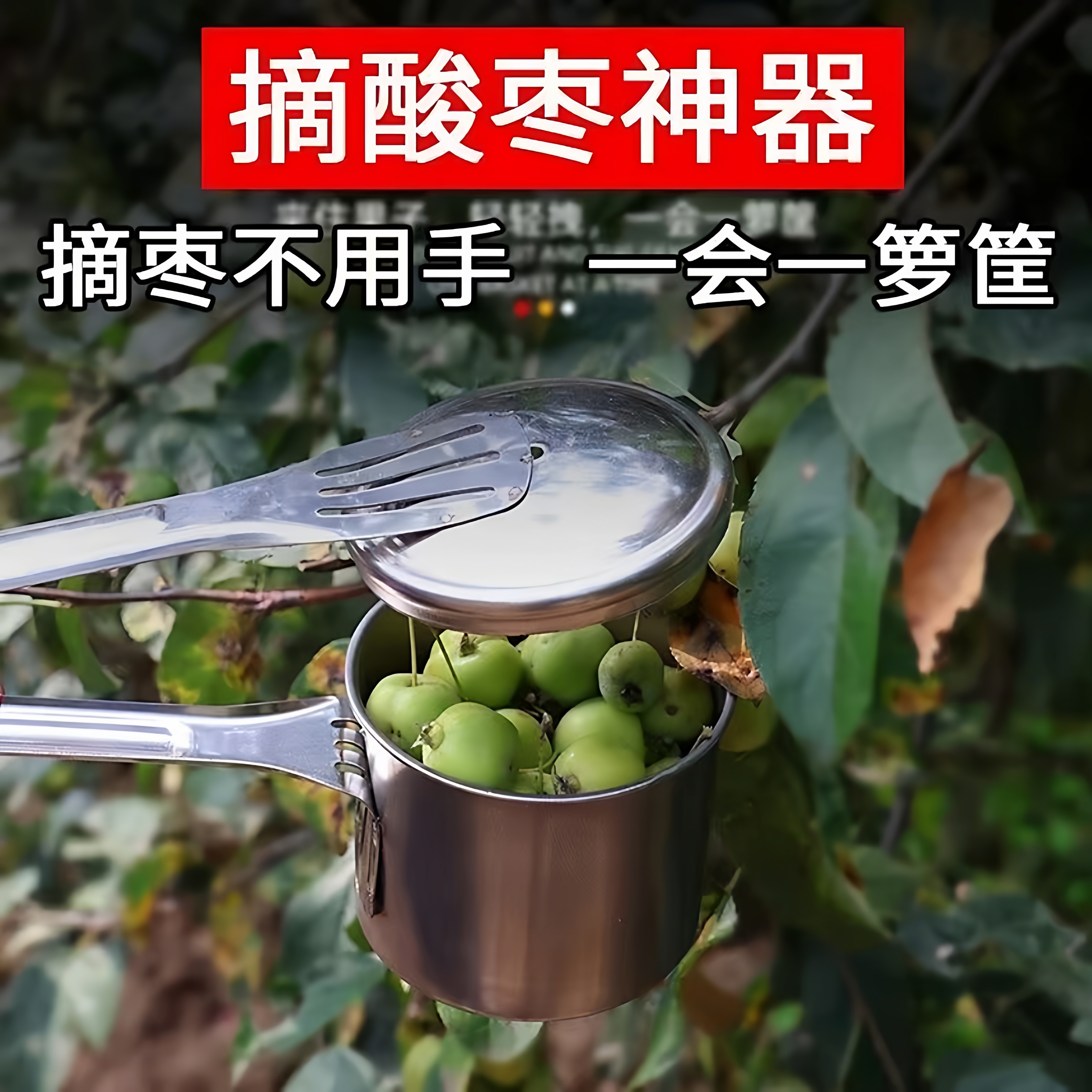 新款摘酸枣神器不锈钢采摘器