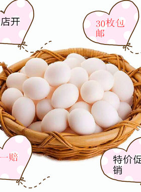 鸽子蛋新鲜30枚圆通包邮