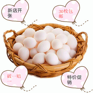 鸽子蛋新鲜30枚620克以上散养鸽蛋信鸽蛋孕婴营养辅食天然土特产