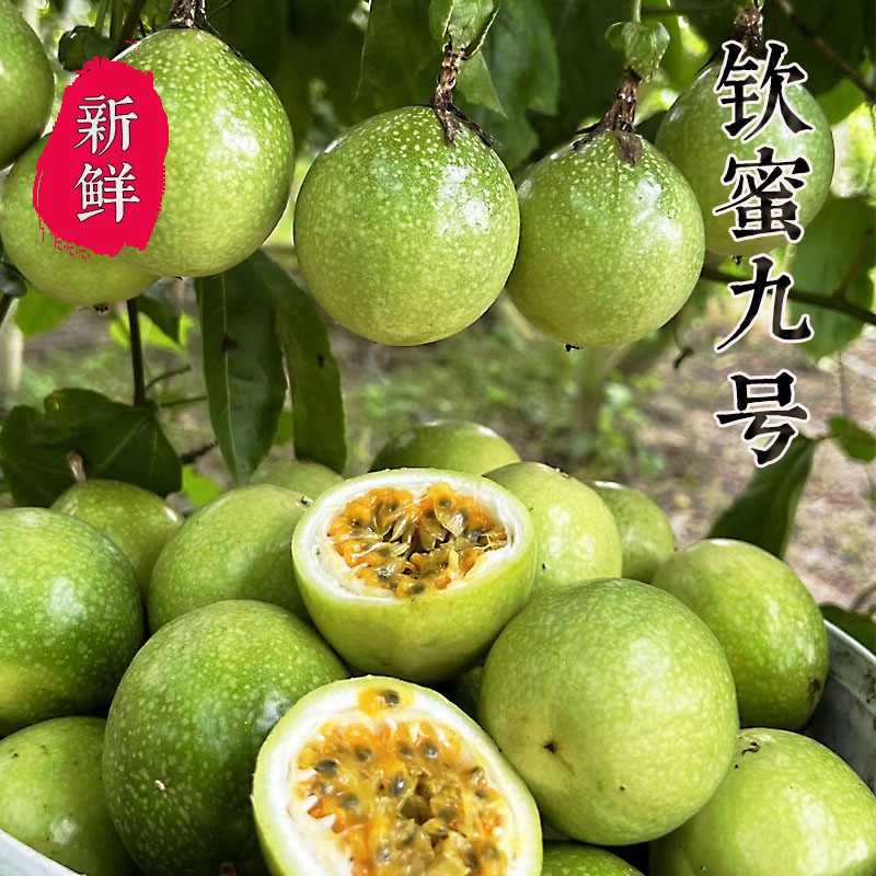 钦蜜九号黄金百香果钦蜜9号应季孕妇新鲜水果5斤大果包邮现摘甜蜜