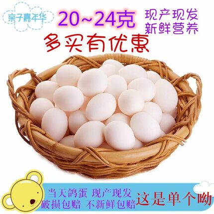 新鲜鸽子蛋满30枚包邮新鲜优质土鸽蛋杂粮喂养鸽子蛋农家散养鸽蛋