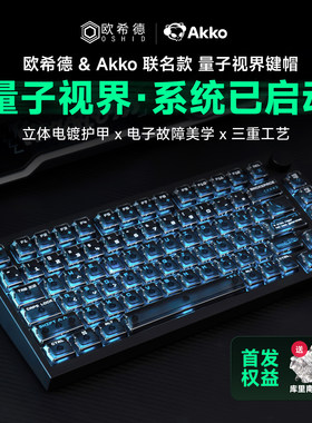 量子视界键帽电镀雾透大全套