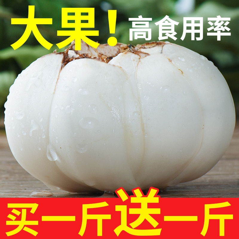 甘肃兰州新鲜百合500g食用