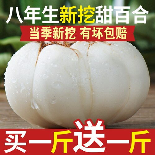 甘肃兰州天然生甜白合非干货