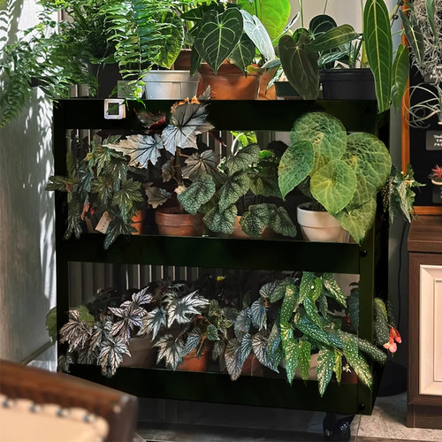 一个用途不太正经的小推车