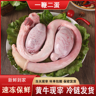 当天现宰新鲜黄牛牛鞭牛宝整套男用牛蛋三宝牛蛋速冻保密发货