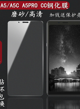 适用于海信A5钢化膜阅读手机水墨屏贴膜HLTE202N/203T A5PRO钢化膜CC保护膜尊享版Hisense玻璃硬手机壳套