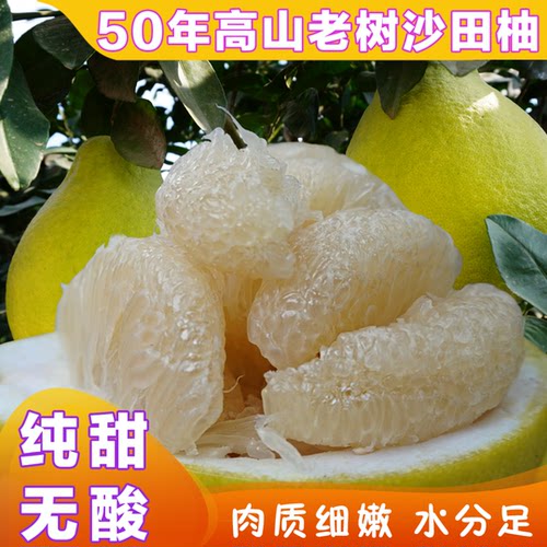 湖南永州江永老树沙田柚香柚10斤装纯甜冰糖柚非容县梅州白心柚子