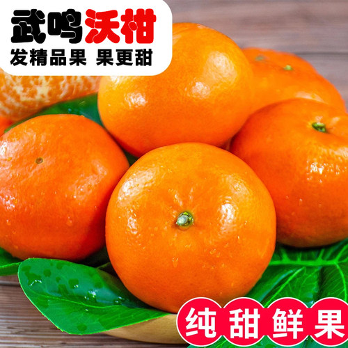 广西武鸣沃柑蜜橘新鲜超甜多汁