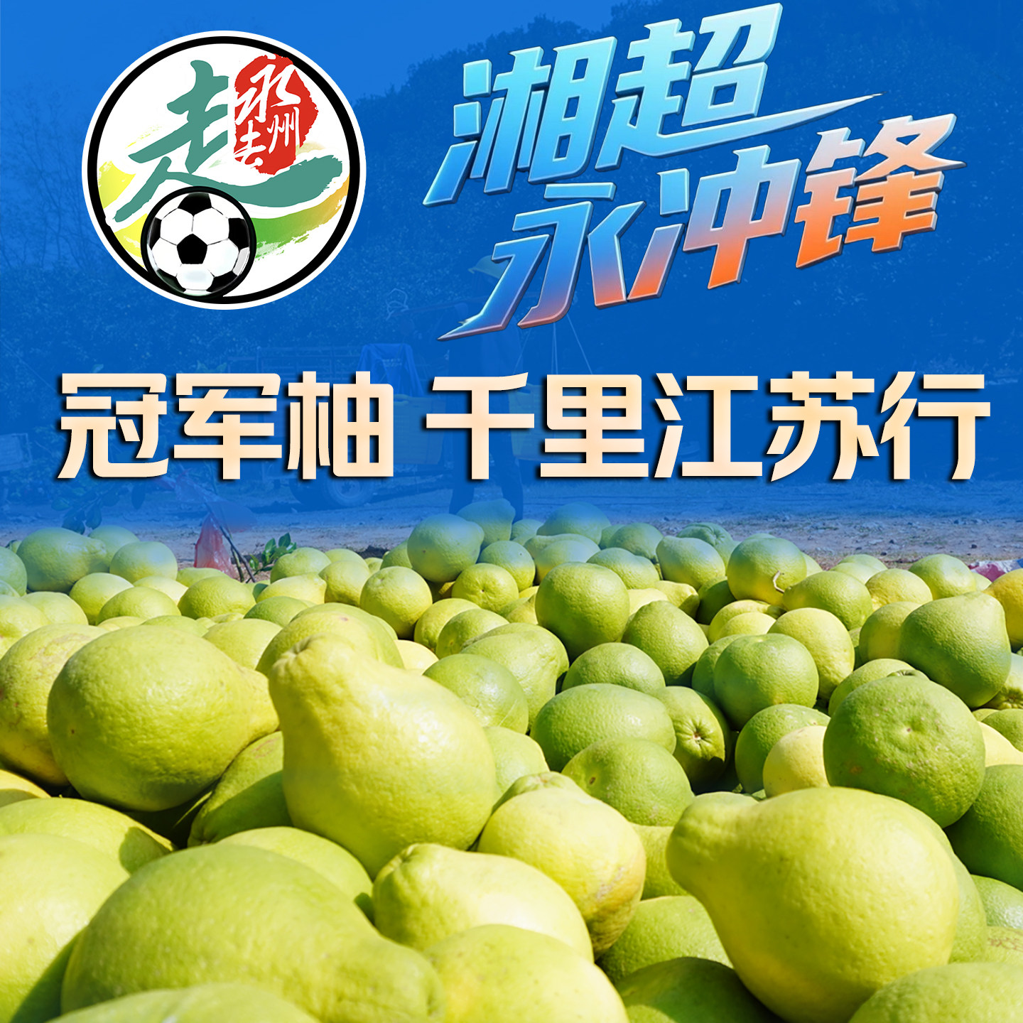 【湘超永州队推荐】湖南永州江永老树沙田柚香柚纯甜冰糖白心柚子,水产肉类/新鲜蔬果/熟食,柚子,淘宝优惠券,粉丝福利购,淘宝优惠卷