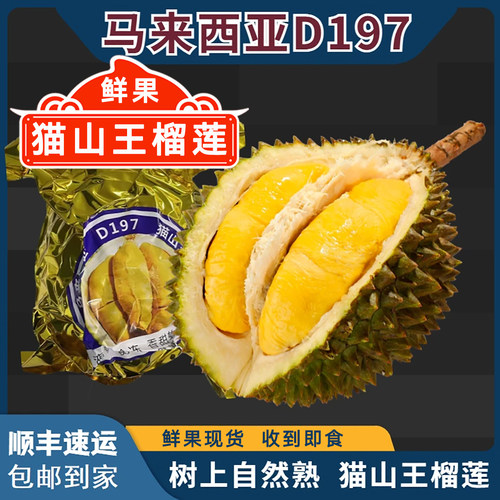 马来西亚进口D197猫山王鲜果榴莲