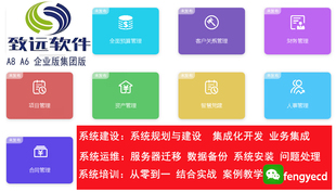 致远OA系统A6 A8+系统应用设计与报表开发问题处理数据恢复迁移