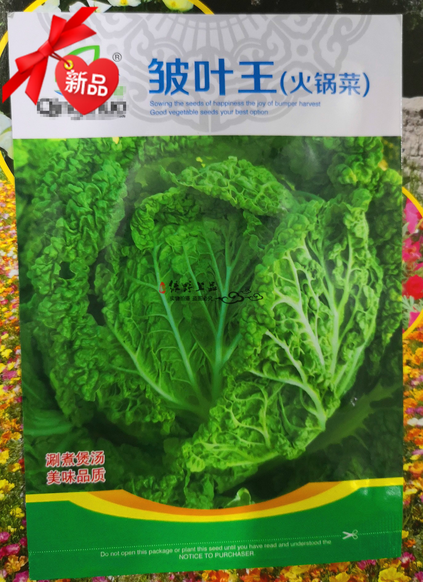 高档大白菜麻叶菜火锅菜种子皱叶王涮锅菜结球紧实叶多帮少口感嫩