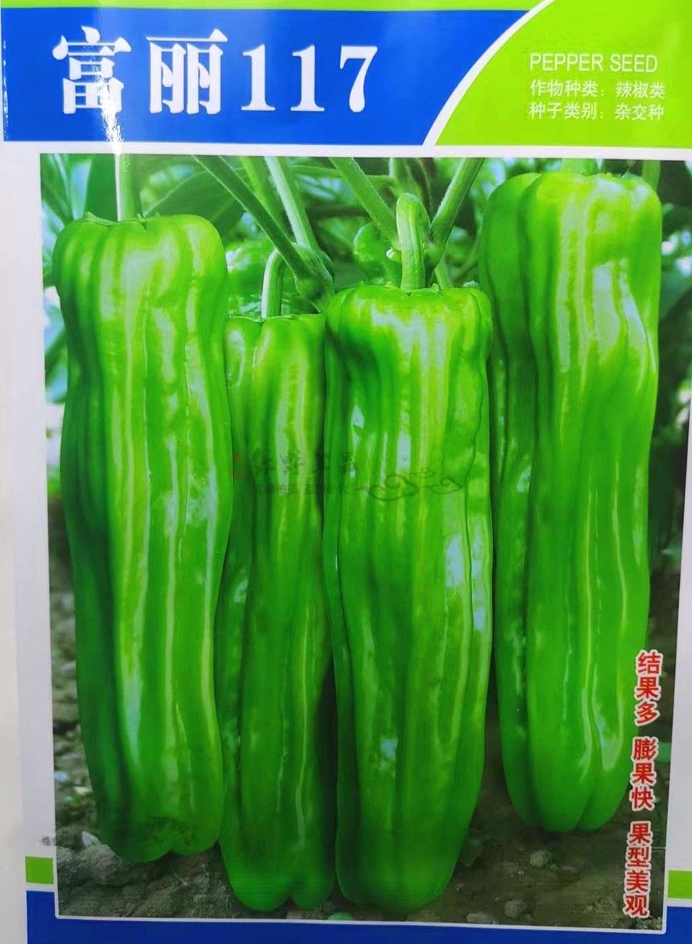 绿野上品大果薄皮泡椒辣椒种子富丽117海迈欧兰德重庆四川蔬菜籽