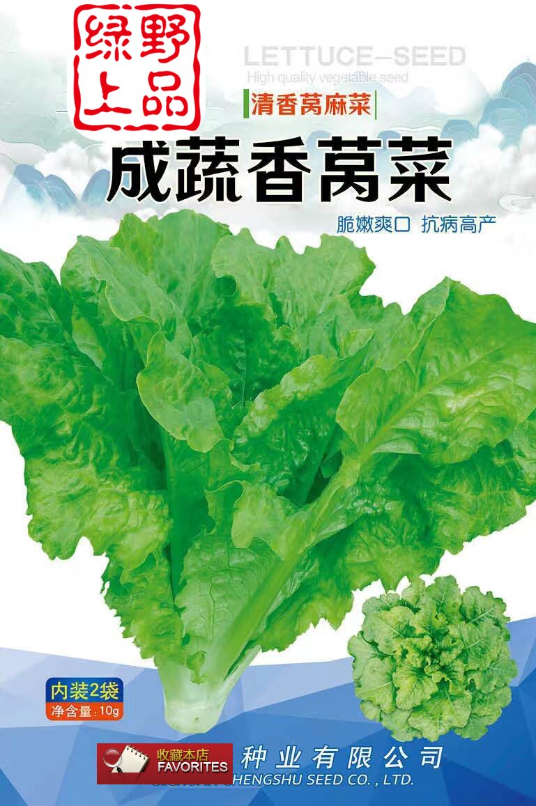 绿野上品地方老品种莴麻菜种子 成蔬香莴菜叶用莴苣笋籽