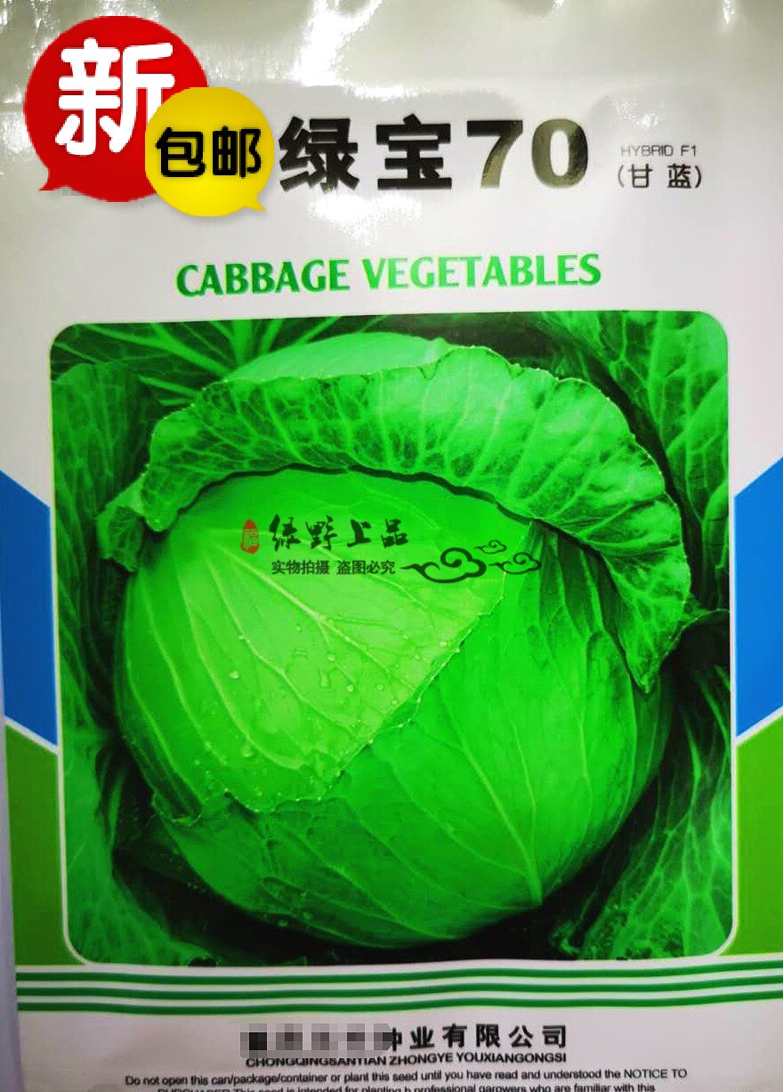绿野上品|农科院包包白菜甘蓝种子 绿宝70 中早熟扁圆夏秋热甘蓝