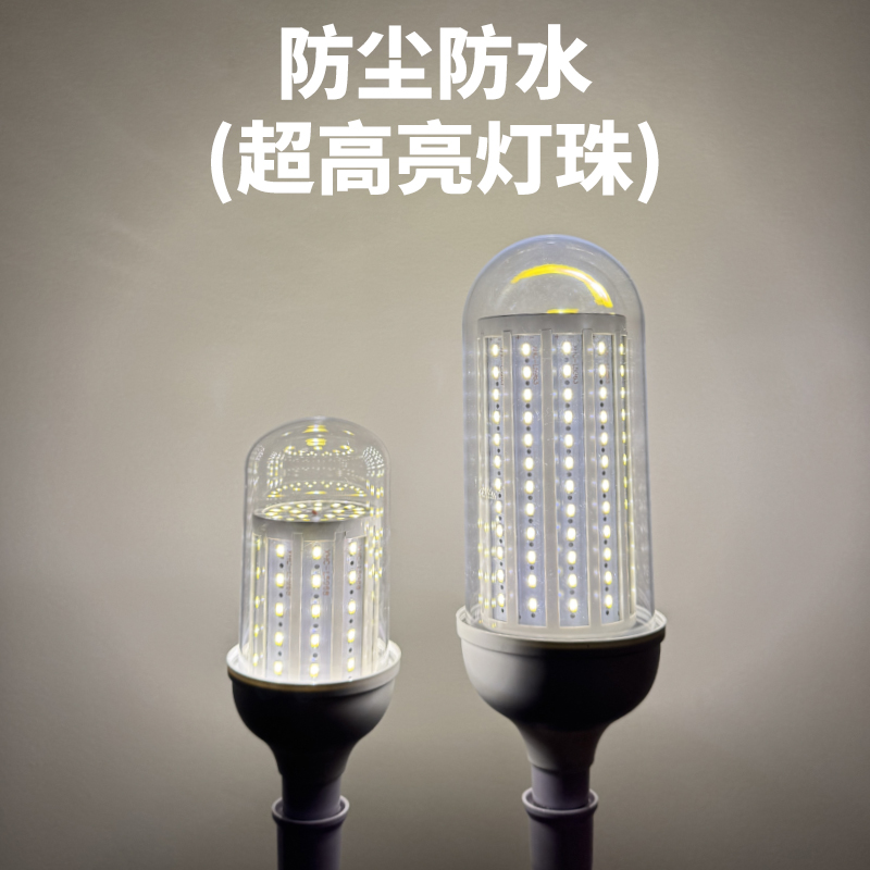 防水尘室户外中性光LED玉米球泡路灯太阳能电瓶12V公园室内外厂房
