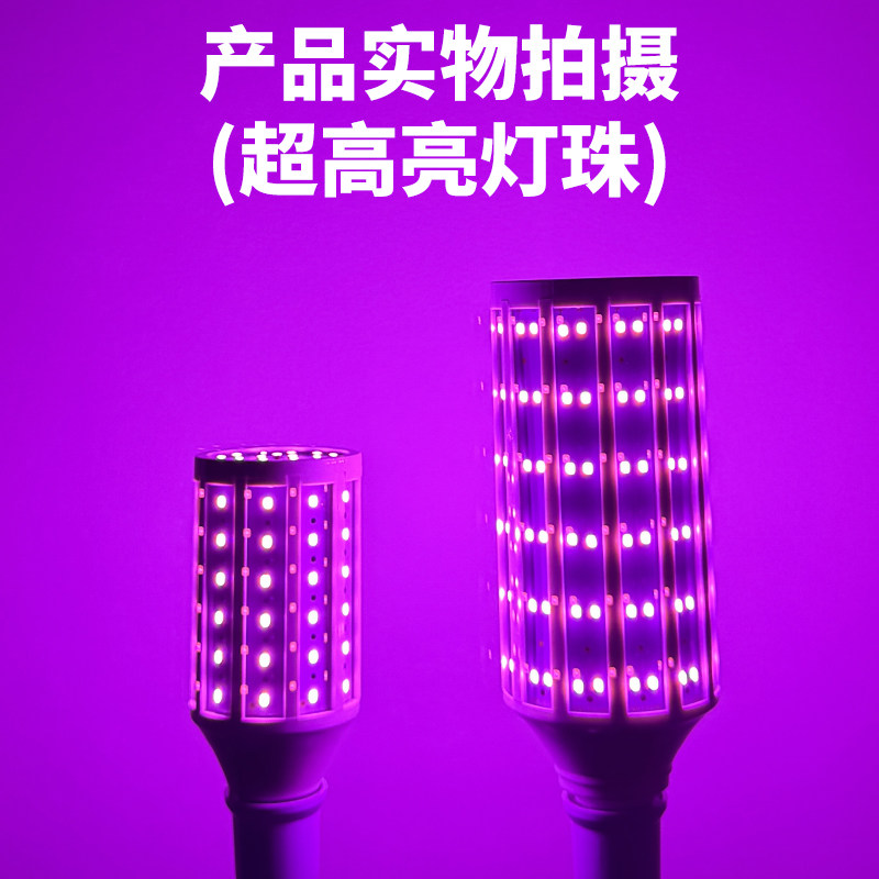 超亮紫色粉红光led玉米主播浪漫情调灯泡氛围公园绿化景观彩补光