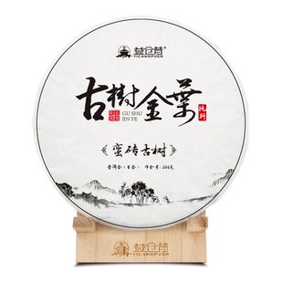 2022云南易武蛮砖古树黄金叶 古六大头春古树纯料七子饼茶整提1kg