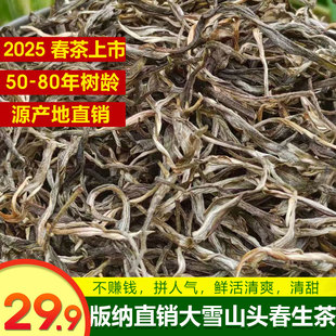 2025云南临沧大雪山普洱茶生茶明前春茶大古树纯料散茶袋装礼盒装