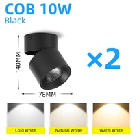 Cold White+Type A 10W Black