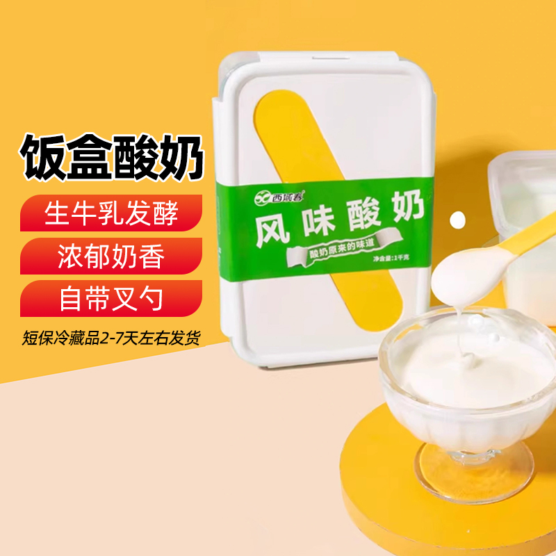 【新疆特产】西域春饭盒酸奶2斤装老酸奶浓稠原味益生菌风味桶装