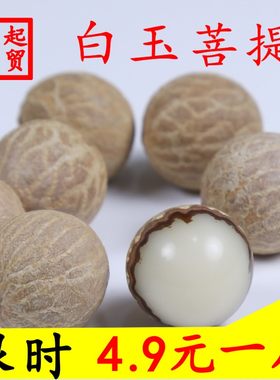 白玉菩提子原籽送打磨工具
